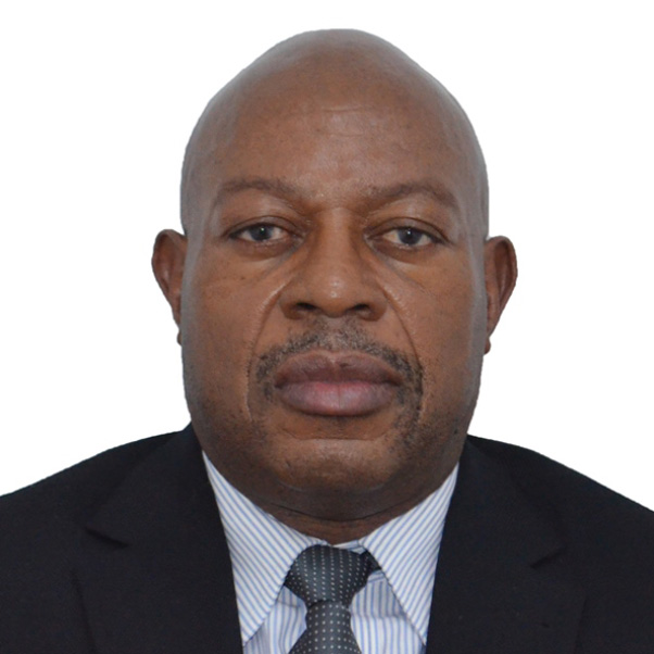 Portrait of Tendaivanhu Madzikanda, chartered structural engineer and founder.